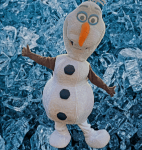 Frosty Fun Adventure