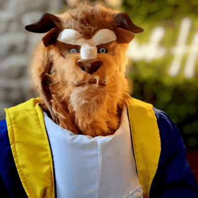 Image for choice number 13